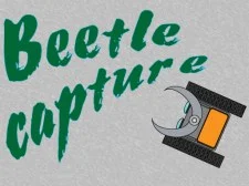 Beetle capture